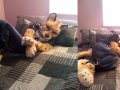 1252306283.daiquiri_sexycheetah.jpg